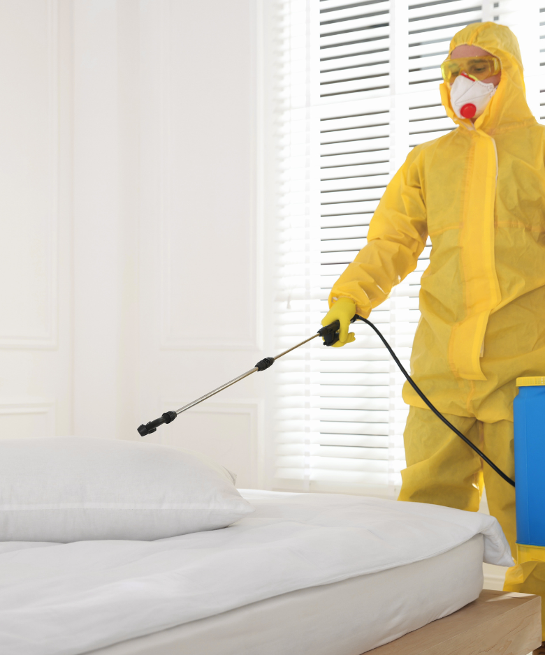 Professional Pest Control Team in Evanston South